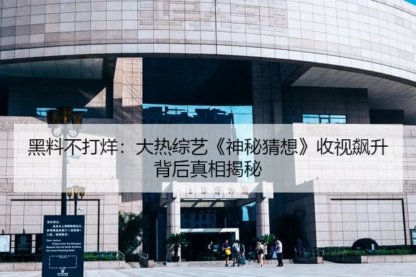 黑料不打烊：大热综艺《神秘猜想》收视飙升背后真相揭秘